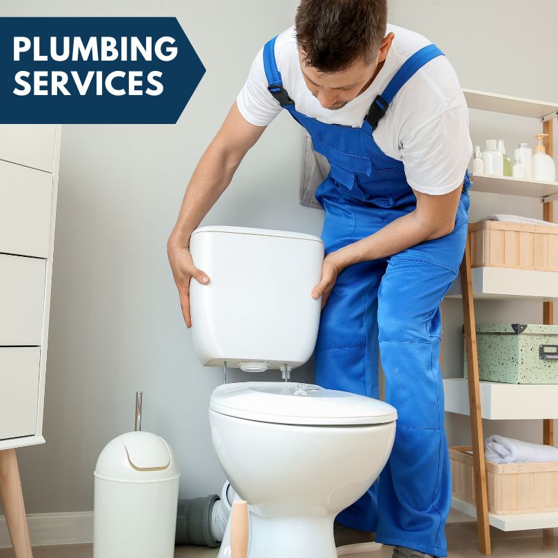 Plumbing Company in Oronoco, MN